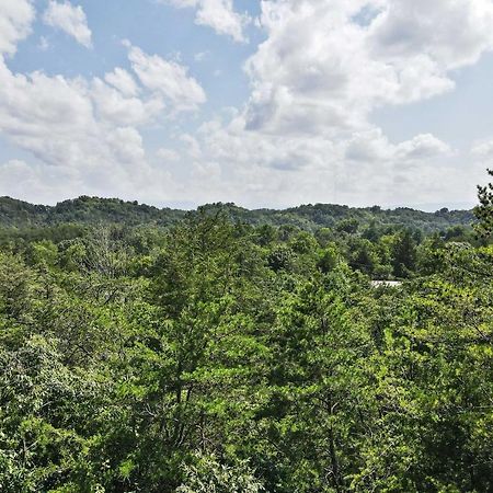 Pet-Friendly Smoky Mountain Retreat With Game Room! セバービル エクステリア 写真